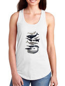 Whale Displa. I T-shirt -Naomi McCavitt Designs