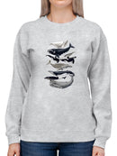 Whale Displa. I Sweatshirt -Naomi McCavitt Designs