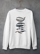 Whale Display Ii. Sweatshirt -Naomi McCavitt Designs