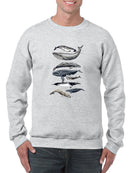 Whale Display Ii. Sweatshirt -Naomi McCavitt Designs