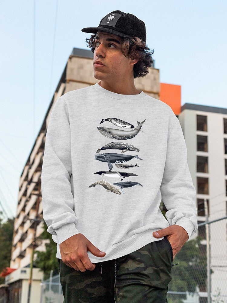 Whale Display Ii. Sweatshirt -Naomi McCavitt Designs