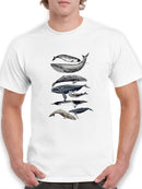 Whale Display Ii. T-shirt -Naomi McCavitt Designs