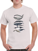 Whale Display Ii. T-shirt -Naomi McCavitt Designs