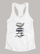 Whale Display Ii. T-shirt -Naomi McCavitt Designs