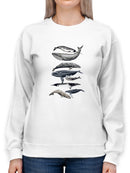 Whale Display Ii. Sweatshirt -Naomi McCavitt Designs