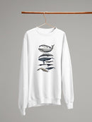 Whale Display Ii. Sweatshirt -Naomi McCavitt Designs