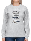 Whale Display Ii. Sweatshirt -Naomi McCavitt Designs