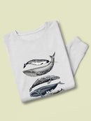 Whale Display Ii. Sweatshirt -Naomi McCavitt Designs