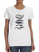 Whale Display Ii. T-shirt -Naomi McCavitt Designs