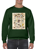 Mycological Study Sweatshirt -Naomi McCavitt Designs