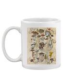 Mycological Study Mug -Naomi McCavitt Designs