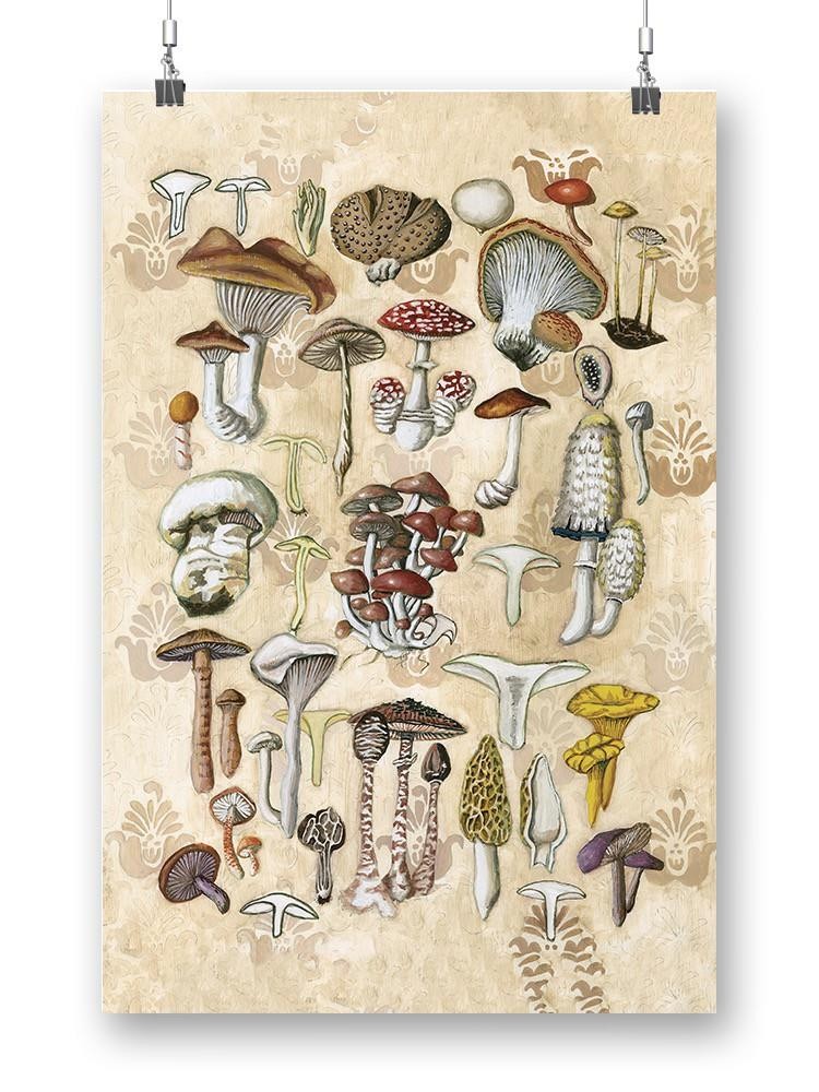 Mycological Study Wall Art -Naomi McCavitt Designs