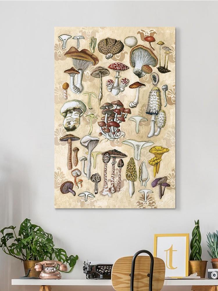 Mycological Study Wall Art -Naomi McCavitt Designs