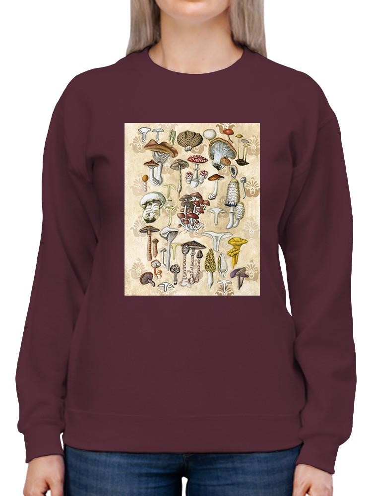 Mycological Study Sweatshirt -Naomi McCavitt Designs