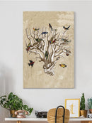 The Ornithologists Dream I Wall Art -Naomi McCavitt Designs