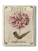 Vintage Seed Packets Ii Wall Art -Studio W Designs