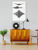 Grey-Scale Stingrays. Ii Wall Art -Studio W Designs