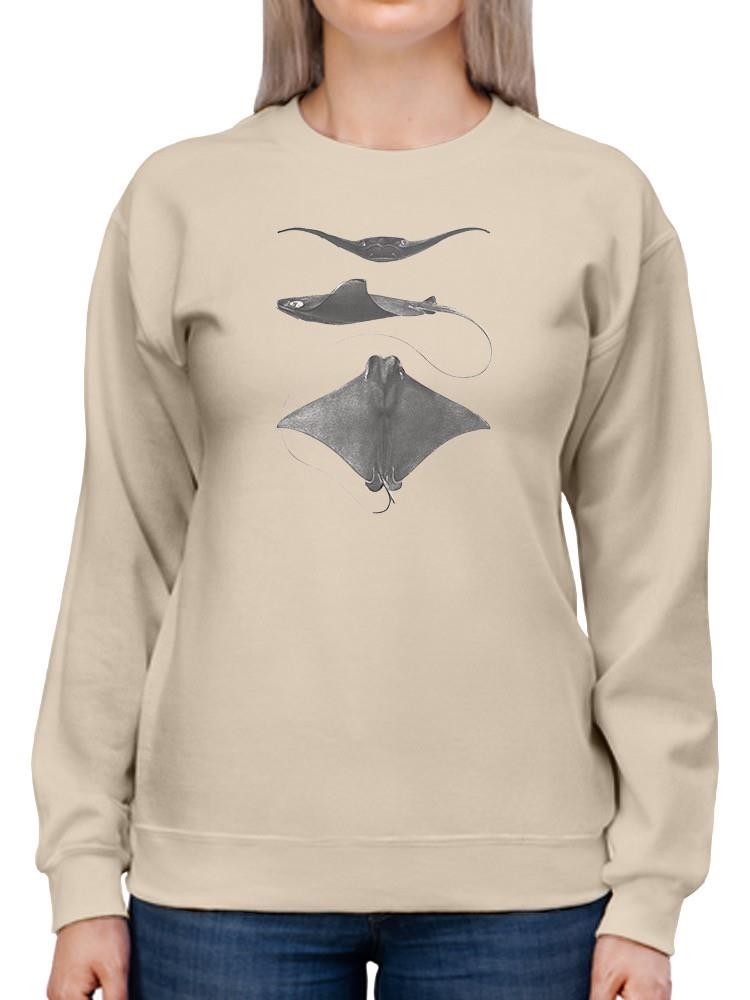 Grey-Scale Stingrays Ii. Sweatshirt -Studio W Designs