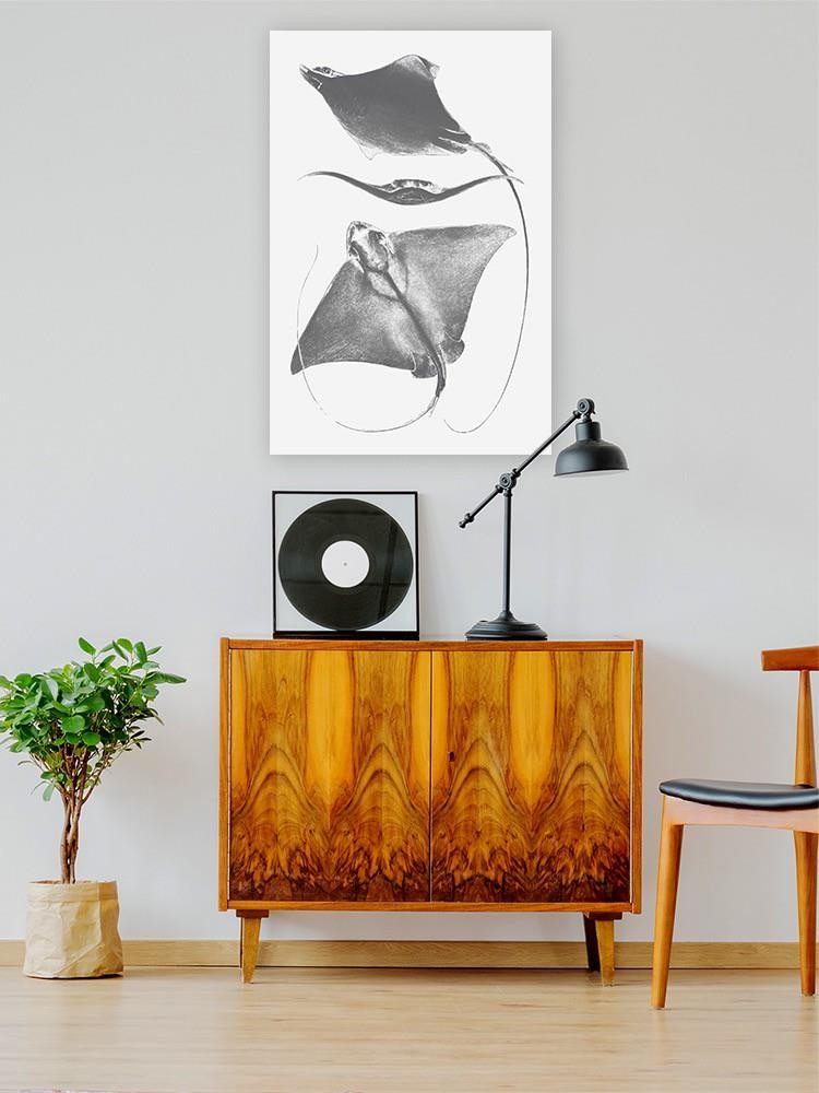 Grey-Scale Stingrays. Iii Wall Art -Studio W Designs