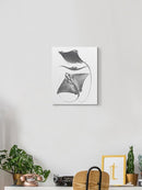 Grey-Scale Stingrays. Iii Wall Art -Studio W Designs