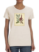 Prince's Feather T-shirt -Sydenham Edwards Designs