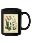 Garden Flora Iv Mug -Sydenham Edwards Designs