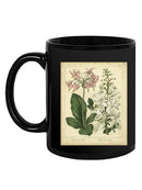 Garden Flora Iv Mug -Sydenham Edwards Designs