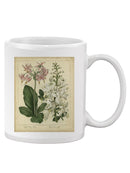 Garden Flora Iv Mug -Sydenham Edwards Designs