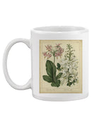Garden Flora Iv Mug -Sydenham Edwards Designs