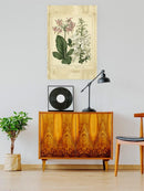 Garden Flora Iv Wall Art -Sydenham Edwards Designs