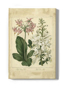 Garden Flora Iv Wall Art -Sydenham Edwards Designs