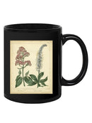 Garden Flora Vi Mug -Sydenham Edwards Designs