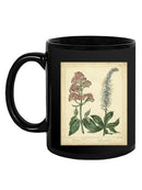 Garden Flora Vi Mug -Sydenham Edwards Designs