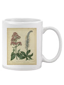 Garden Flora Vi Mug -Sydenham Edwards Designs