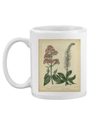 Garden Flora Vi Mug -Sydenham Edwards Designs