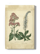 Garden Flora Vi Wall Art -Sydenham Edwards Designs