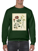 Small Garden Display Ii Sweatshirt -Sydenham Edwards Designs