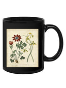 Small Garden Display Ii Mug -Sydenham Edwards Designs