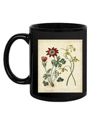 Small Garden Display Ii Mug -Sydenham Edwards Designs