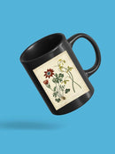 Small Garden Display Ii Mug -Sydenham Edwards Designs