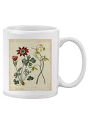 Small Garden Display Ii Mug -Sydenham Edwards Designs