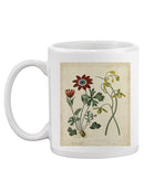 Small Garden Display Ii Mug -Sydenham Edwards Designs
