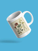 Small Garden Display Ii Mug -Sydenham Edwards Designs