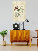 Small Garden Display Ii Wall Art -Sydenham Edwards Designs