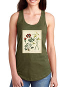 Small Garden Display Ii T-shirt -Sydenham Edwards Designs