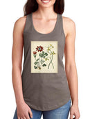 Small Garden Display Ii T-shirt -Sydenham Edwards Designs