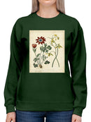 Small Garden Display Ii Sweatshirt -Sydenham Edwards Designs