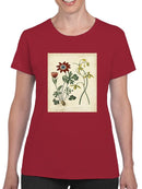 Small Garden Display Ii T-shirt -Sydenham Edwards Designs
