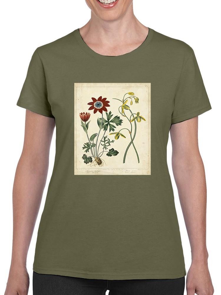 Small Garden Display Ii T-shirt -Sydenham Edwards Designs