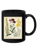 Small Garden Display Iii Mug -Sydenham Edwards Designs